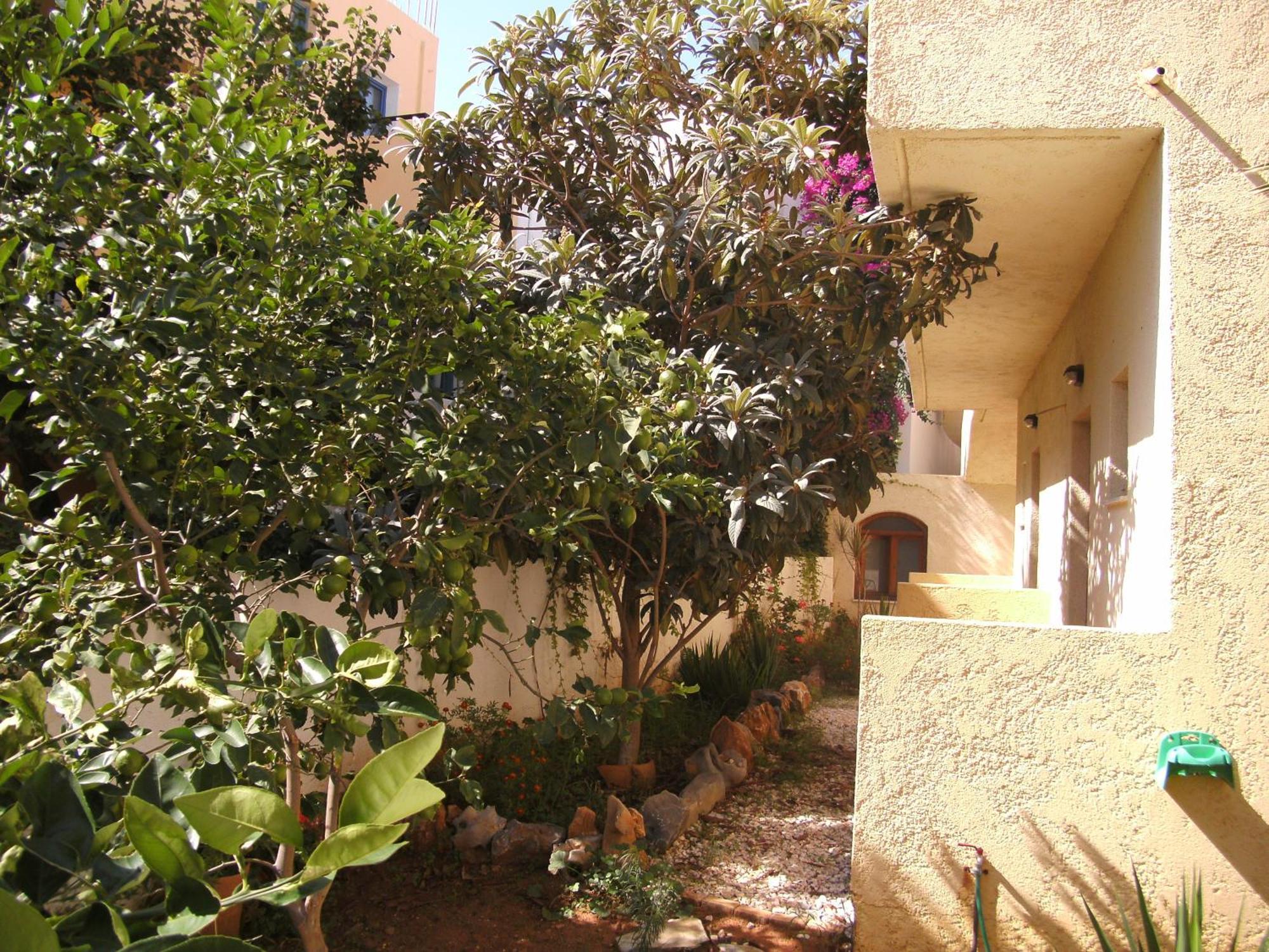 Appartement Lia Sofia
