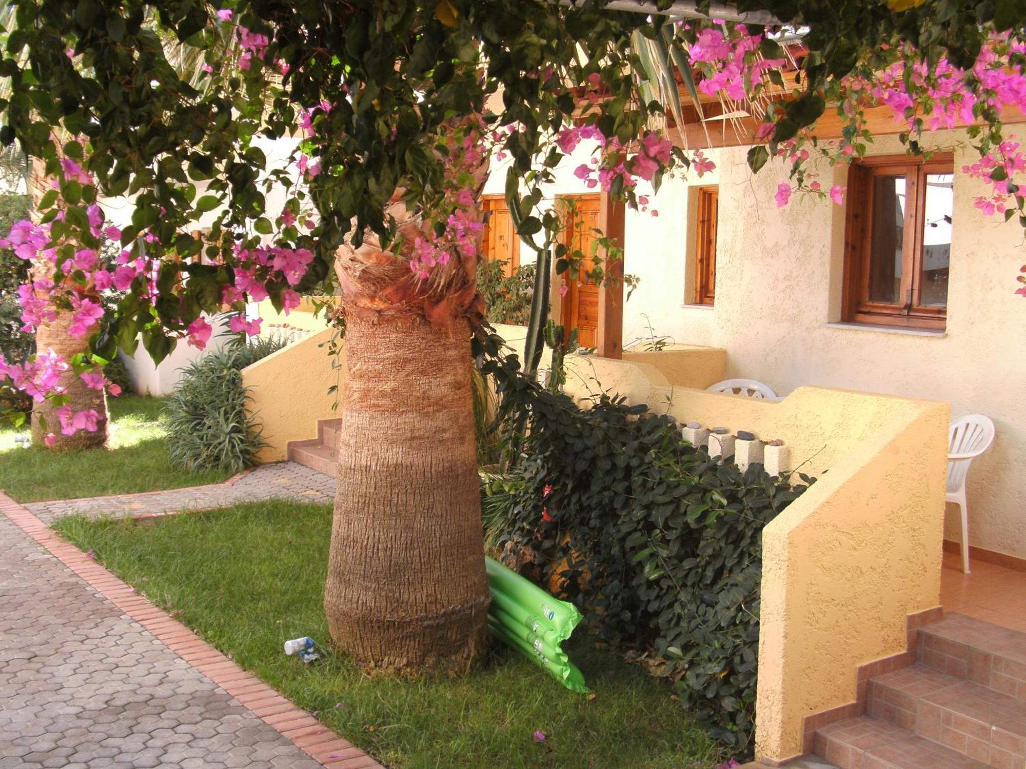 Appartement Lia Sofia Stalida